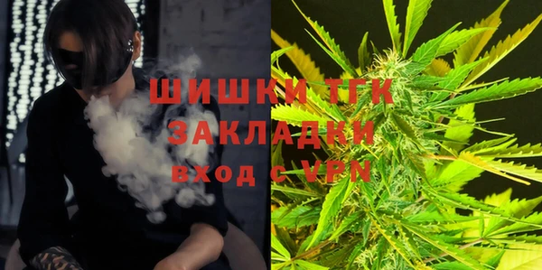 тгк Заводоуковск