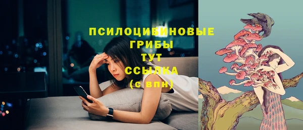 тгк Заводоуковск