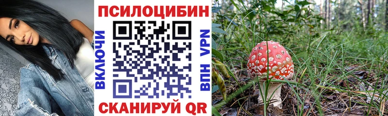 Галлюциногенные грибы Psilocybe  как найти наркотики  Истра 