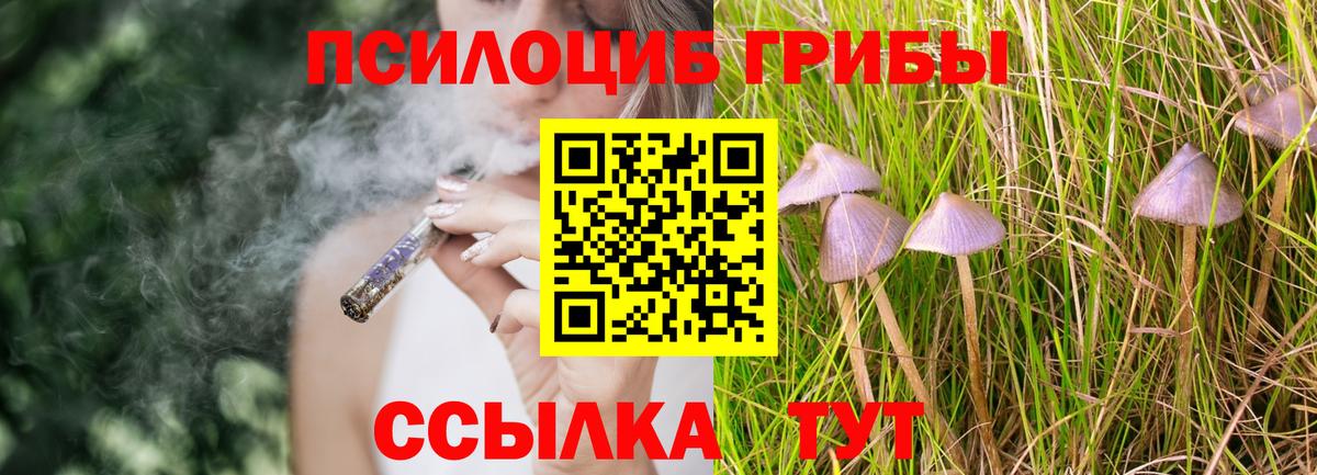 Истра  Галлюциногенные грибы мицелий  Вход с VPN  Псилоцибиновые грибы Psilocybe 